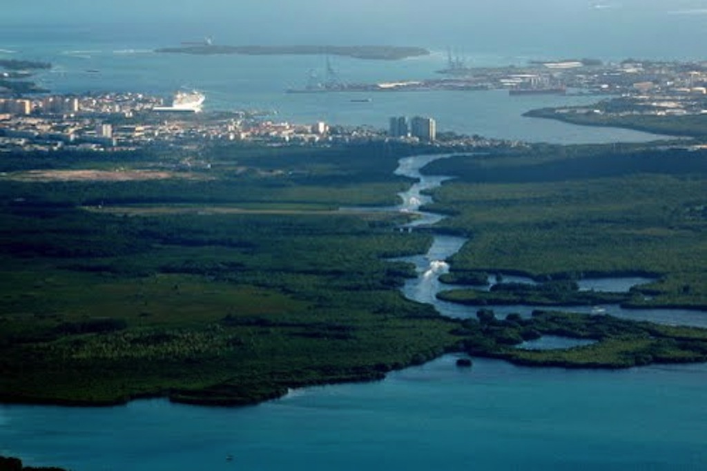 Régis Guillemot Charter Rivière Salée