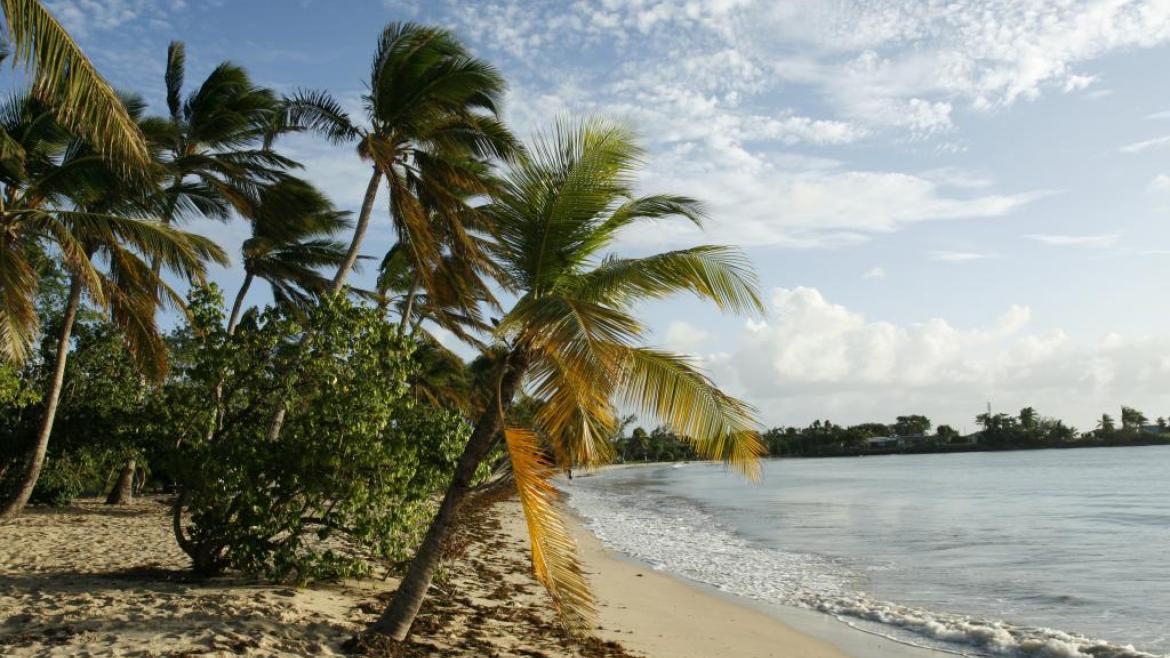 La plage des Salines, Martinique, FWI La plage des Salines, Martinique, FWI
