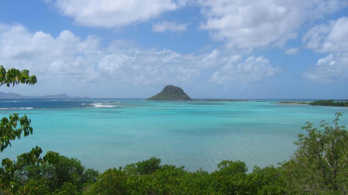 Le lagoon des Tobagos Le lagoon des Tobagos