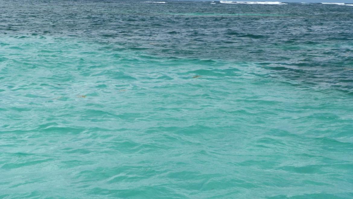 The clear waters of the Baignoire de Joséphine The clear waters of the Baignoire de Joséphine