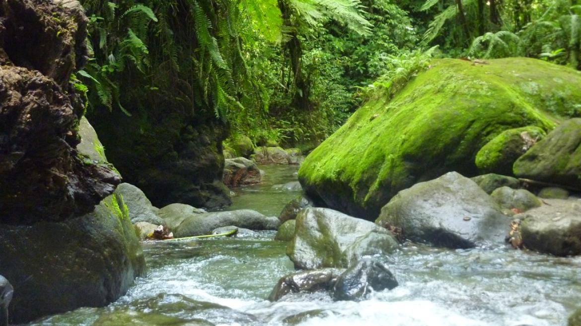 Les gorges de la falaise, Ajoupa Bouillon Les gorges de la falaise, Ajoupa Bouillon