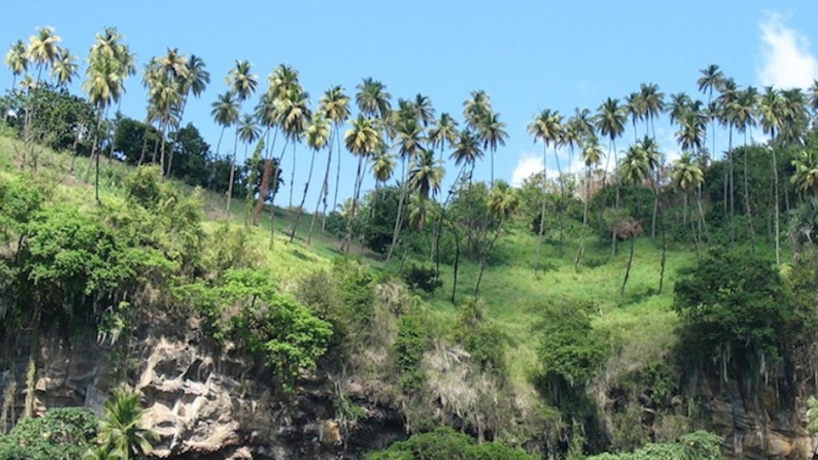 Saint Vincent SaintVincentetlesGrenadines Régis Guillemot Charter