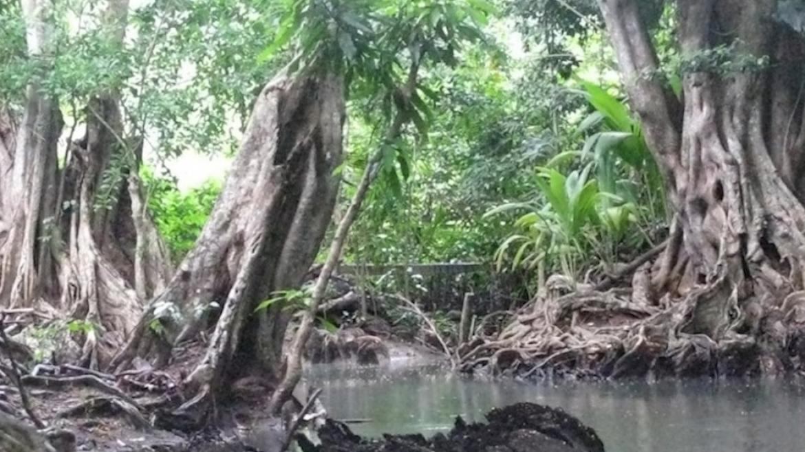 La Rivière Indienne, Dominique La Rivière Indienne, Dominique