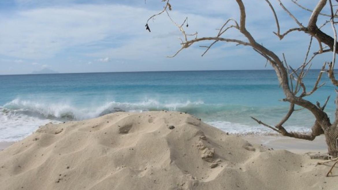 Belle plage de Saint Martin Belle plage de Saint Martin