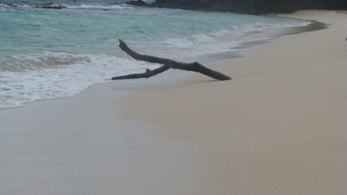 Mayreau, windward side Mayreau, windward side