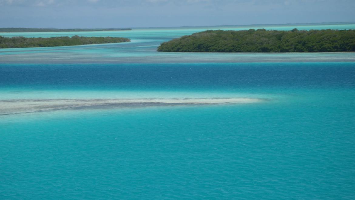 Eaux turquoises de los Roques Eaux turquoises de los Roques
