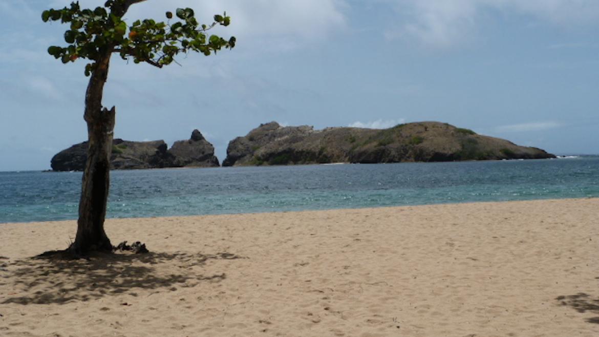 Pompierre Beach, Les Saintes - Terre de Haut Pompierre Beach, Les Saintes - Terre de Haut