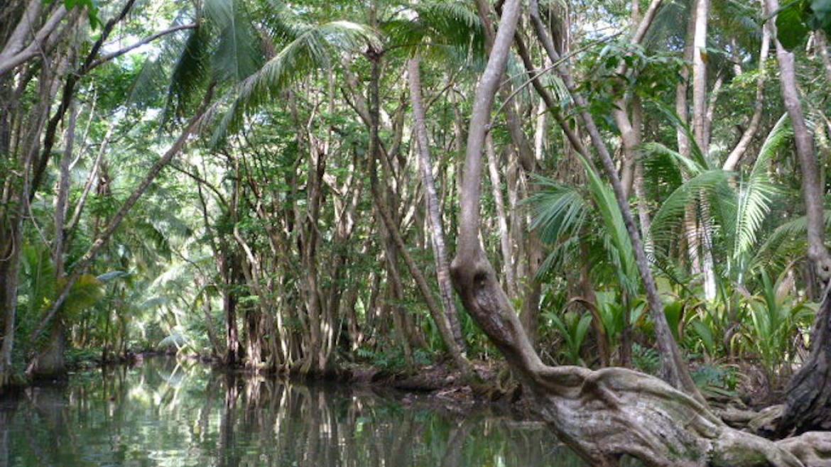 La Rivière Indienne, Dominique La Rivière Indienne, Dominique