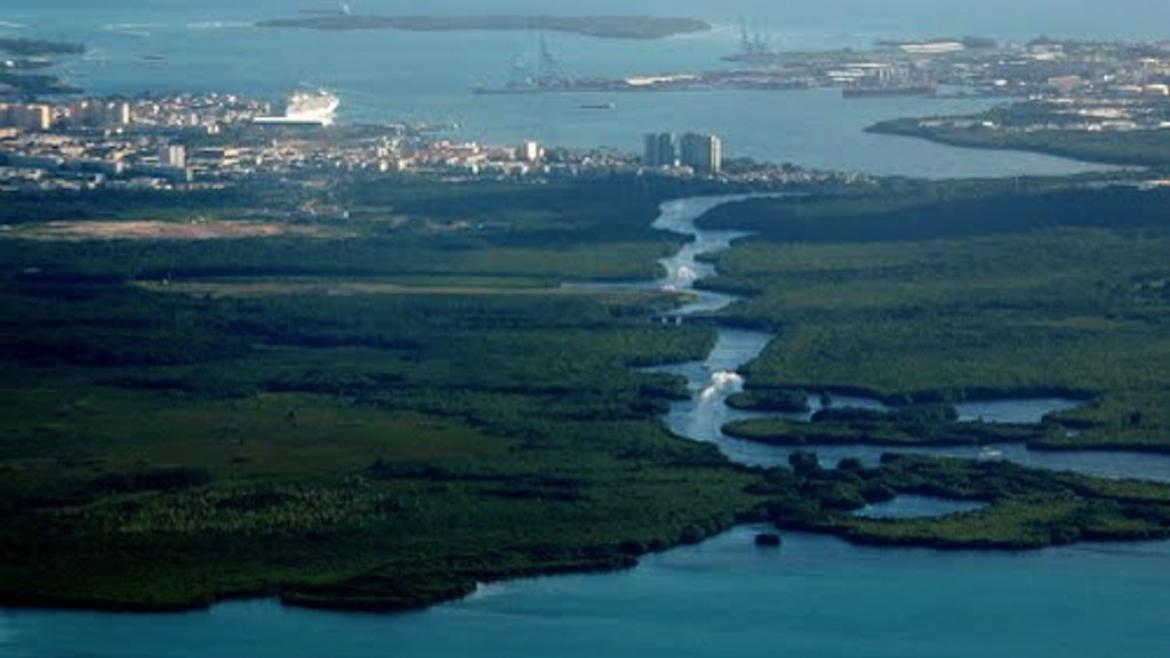 Rivière Salée Guadeloupe Régis Guillemot Charter