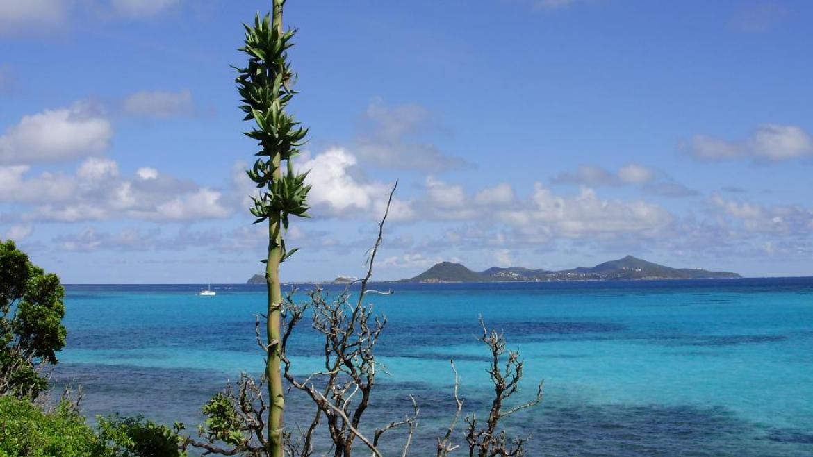 Tobago Cays depuis Baradal Tobago Cays depuis Baradal