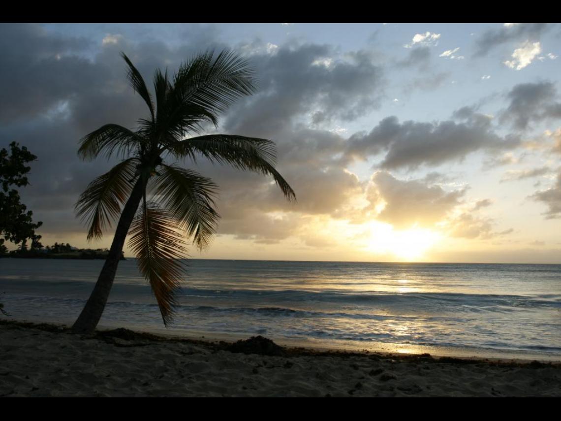 Coucher de soleil aux Salines, Martinique