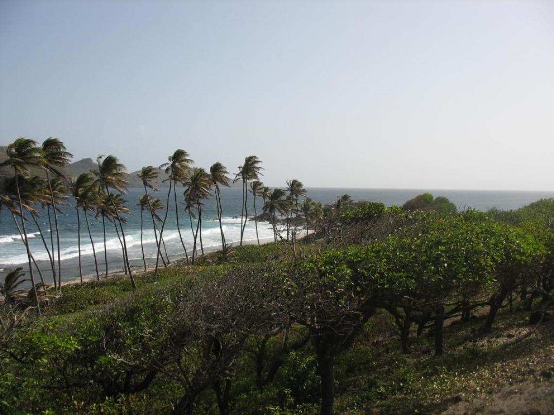 The black sandy beach at Petit Nevis