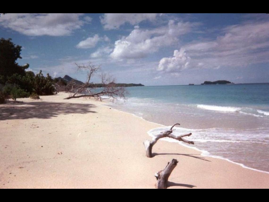 plage de Hillsorough à Carriacou, source wikipedia