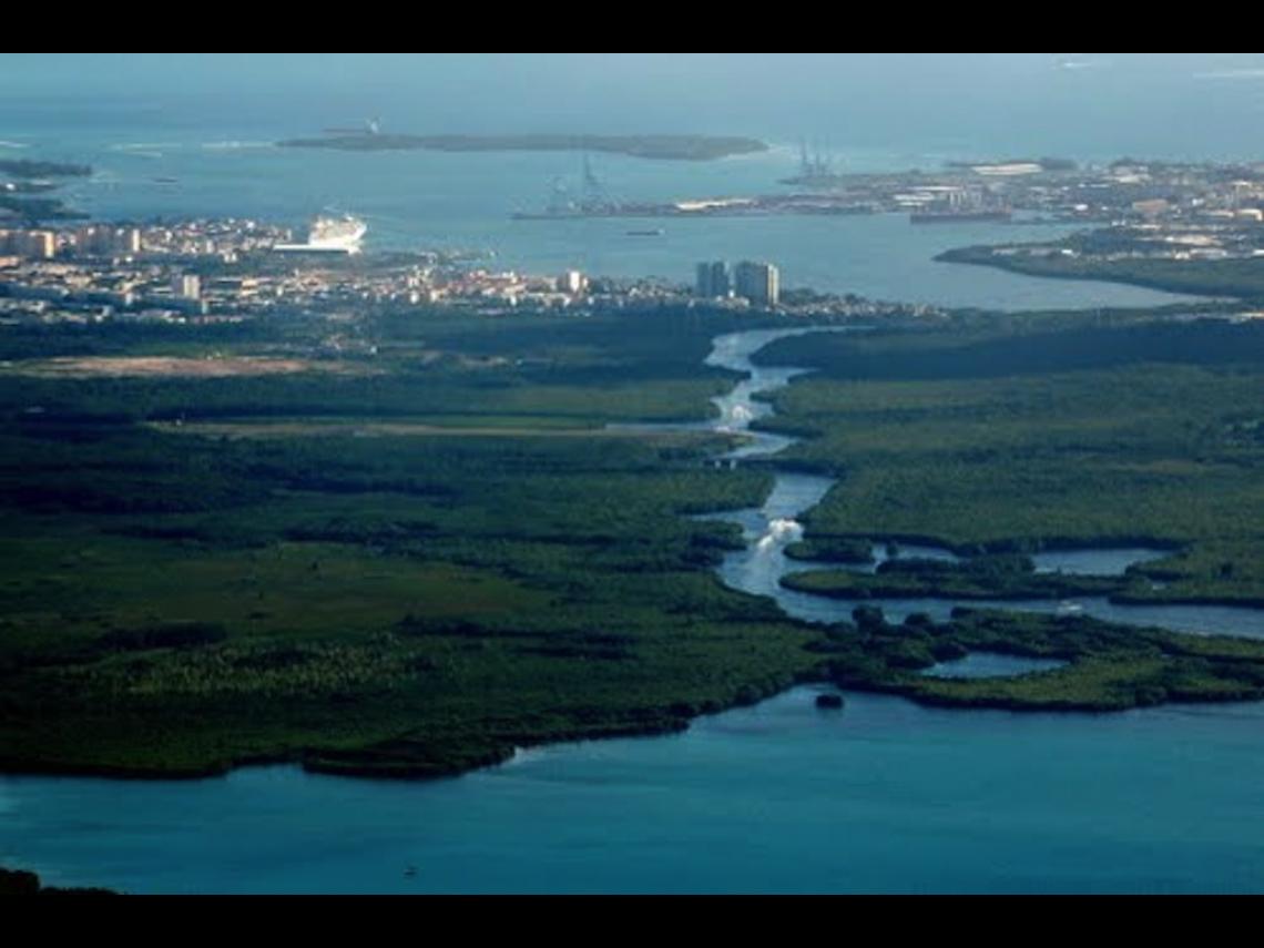 The Rivière Salée, Guadeloupe