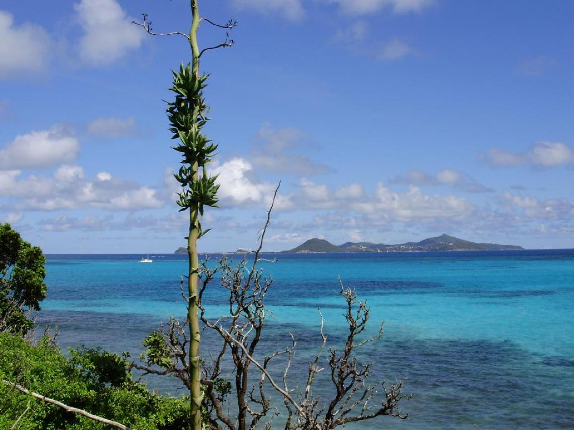 Tobago Cays depuis Baradal