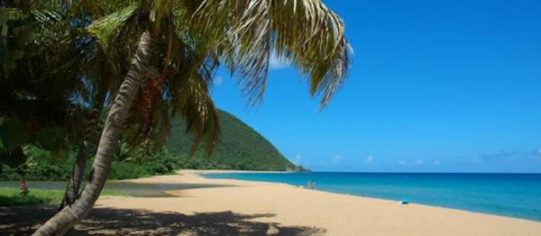 Plage de Grande Anse, Guadeloupe Plage de Grande Anse, Guadeloupe