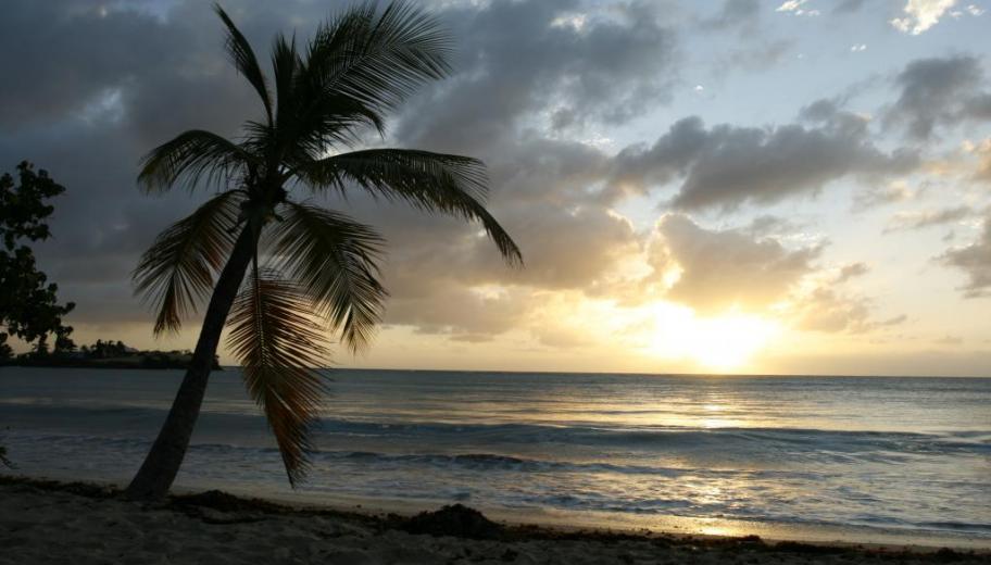 Coucher de soleil aux Salines, Martinique
