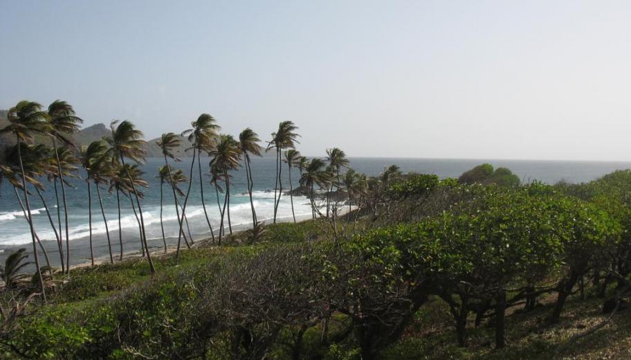 Plage de sable noir, Petit Nevis