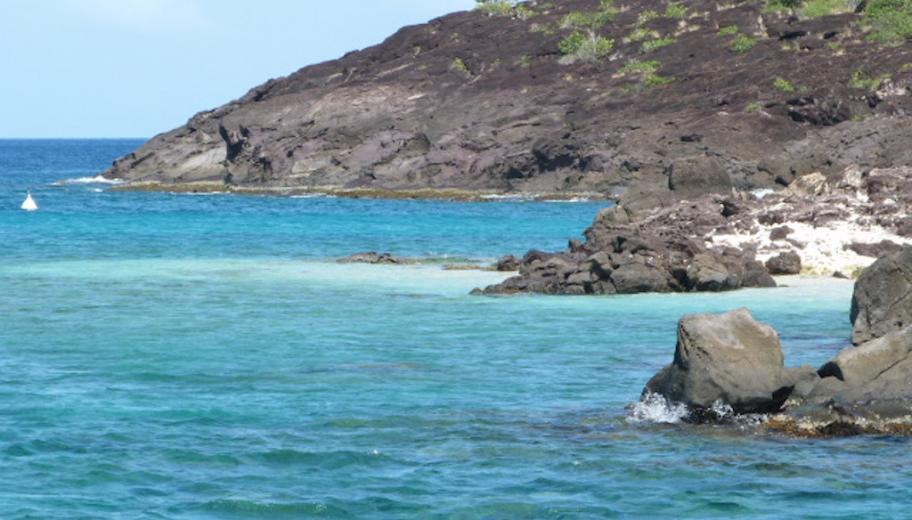 Réserve Cousteau, Guadeloupe