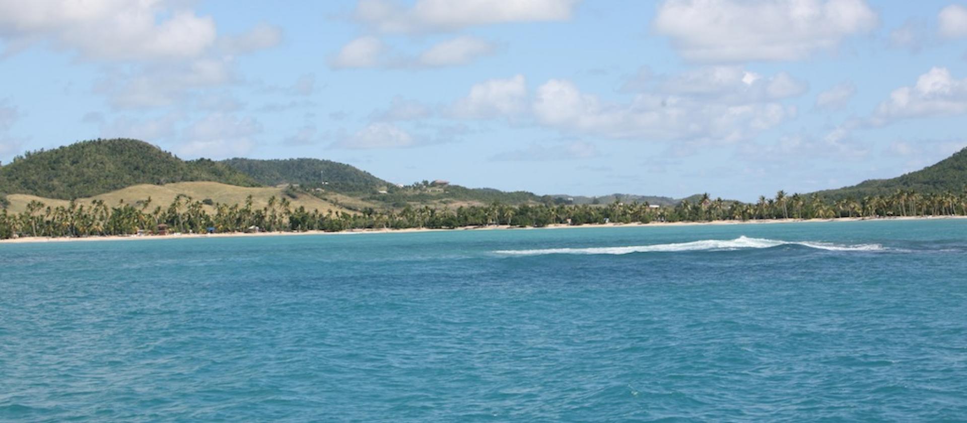 The main beach at Salines, Saint Anne, Martinique The main beach at Salines, Saint Anne, Martinique
